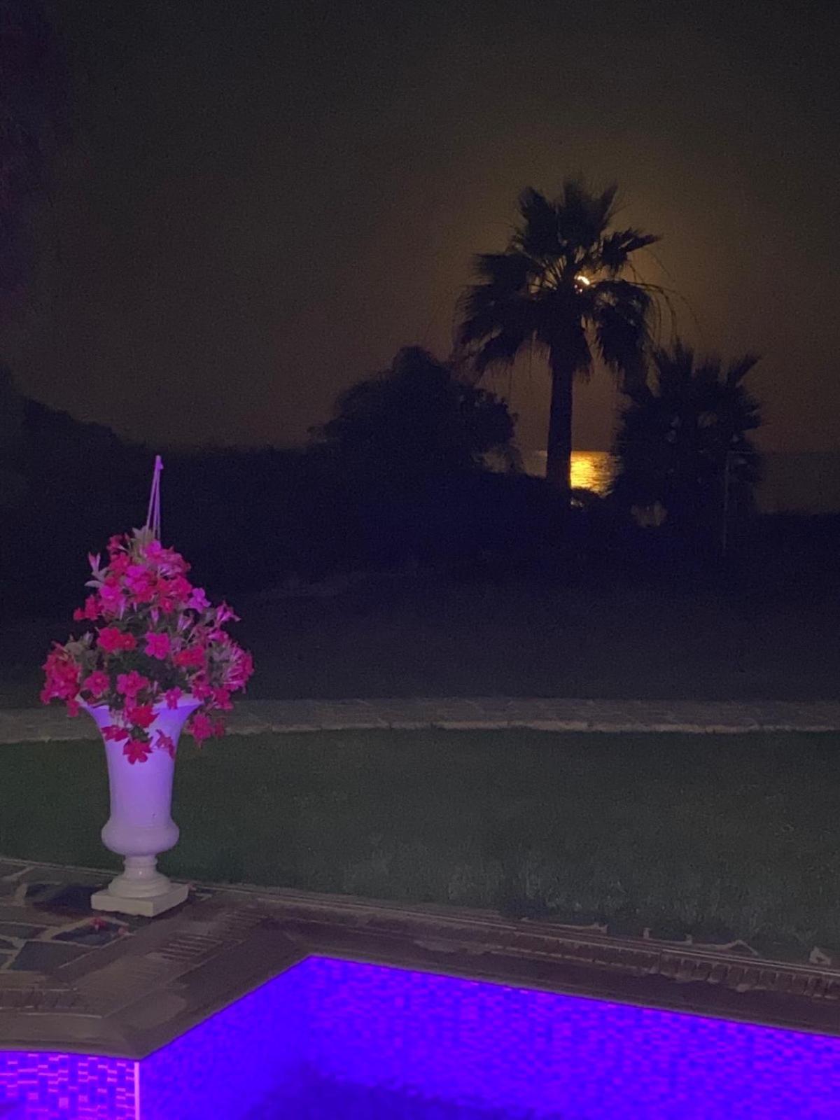 Villaer Ionion Beachfront