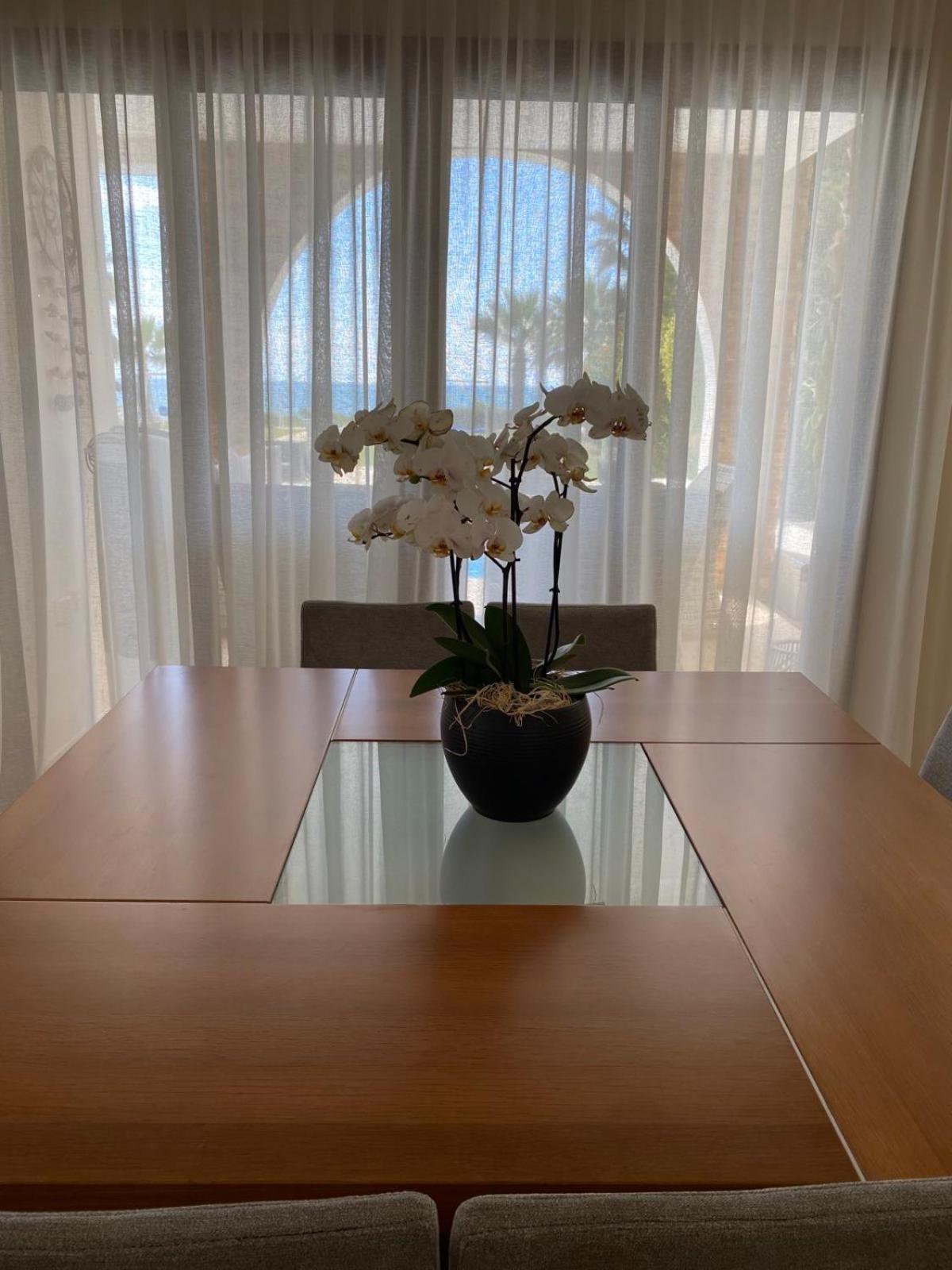 Ionion Beachfront Villaer